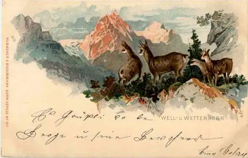 Well und Weterhorn - Gemsen - Litho -N7882