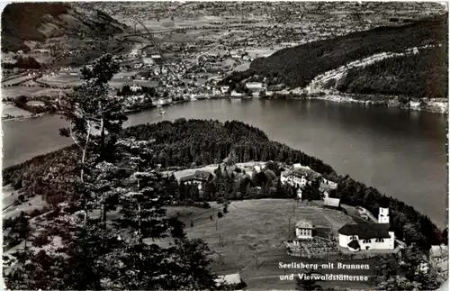 Seelisberg mit Brunnen -N7320