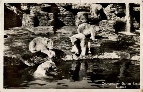 Basel - Zoo - Eisbär -192122