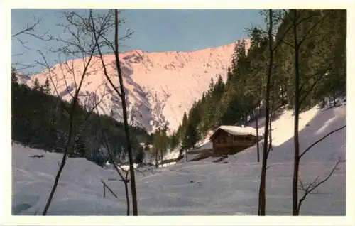 Winter in der Schweiz -N7699