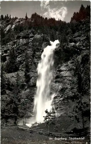 Engelberg - Täschbachfall -N7295