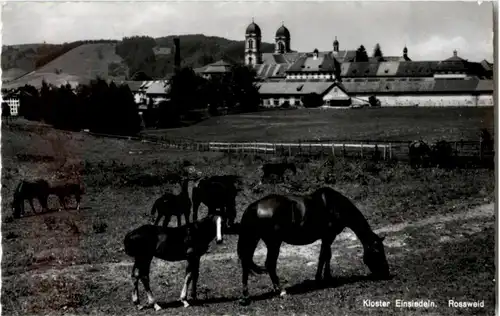 Einsiedeln - Pferde -N8125