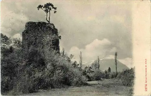 Interlaken - Ruine Waissenau -N8359