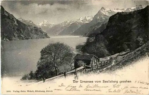 Urnersee vom Seelisberg -N7527