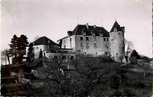Chateau de Gruyeres -N8078