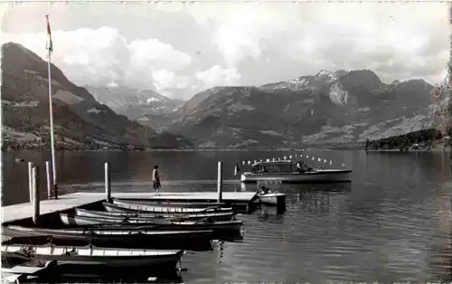 Sarnersee -N8631