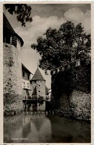 Schloss Hallwil -N8109