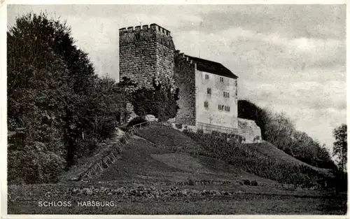 Schloss Habsburg -N7953