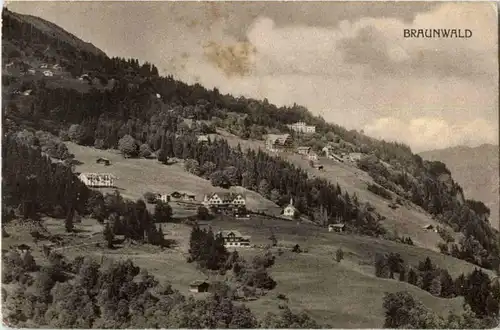Braunwald -N8225
