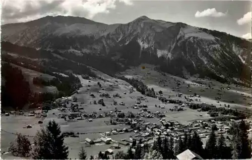 Lenk -N7391