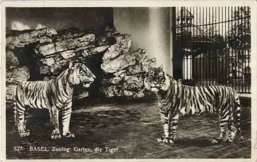 Basel - Zoologischer Garten - Tiger -167256