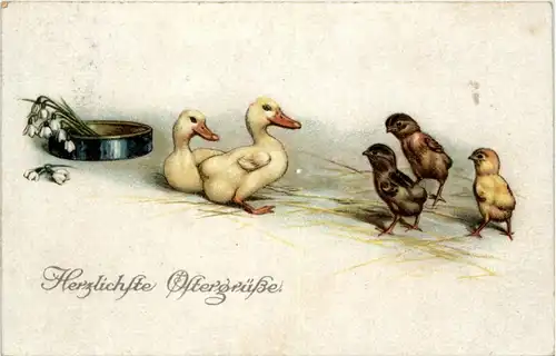 Kücken - Enten -103452