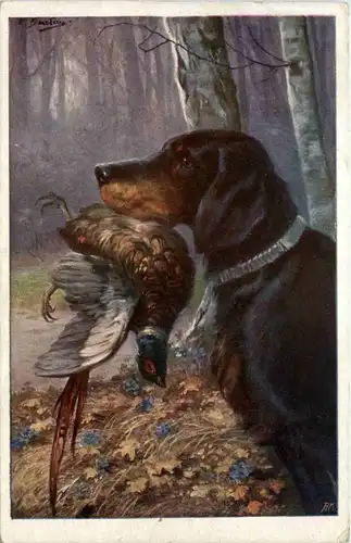 Jagd - Hund -102538