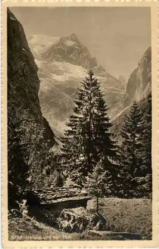 Uelialp mit Tödi -N8476