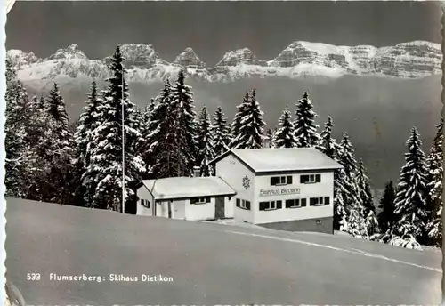 Flumserberg - Skihaus Dietikon -N8537