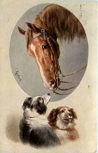 Horse and Dog -103662