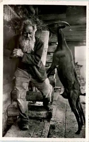 Ziegen - Bündner Bergbauer -102412