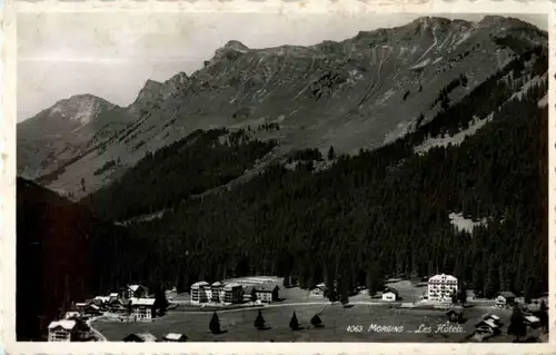 Morgins - Les Hotels -168264