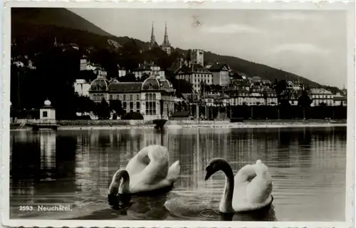 Neuchatel - Schwan -102452