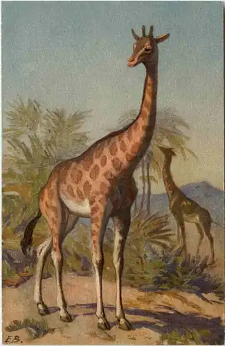 Giraffe -103392