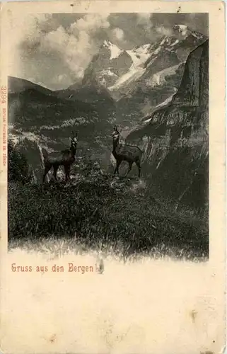 Gruss asu den Bergen -103498
