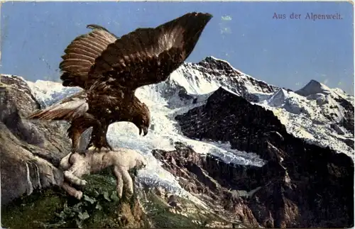 Adler - Eagle -103614