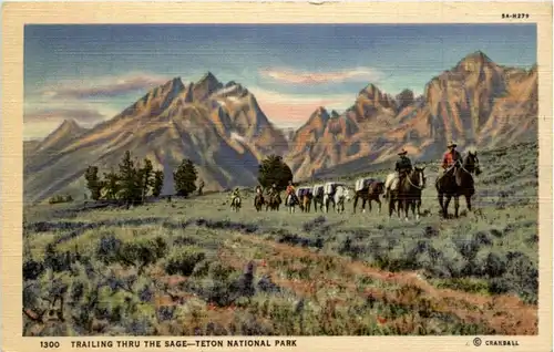 Cowboys - Trailing thru the sage -103262