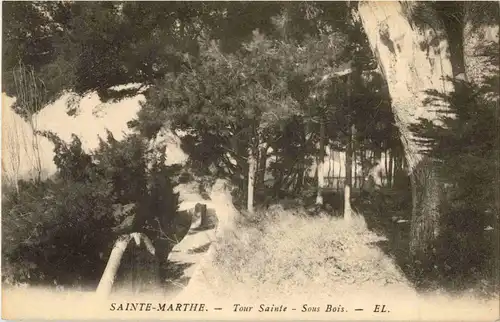 Sainte Marthe -14900