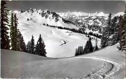 Hornberg mit Waadtländer Alpen -N8623