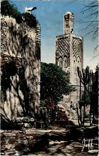 Rabat -14986