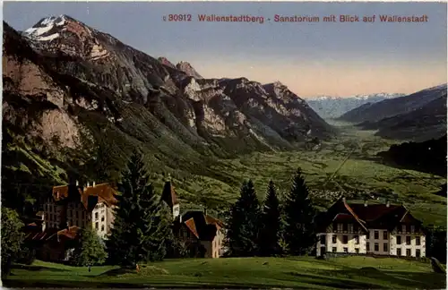 Wallenstadtberg -200370