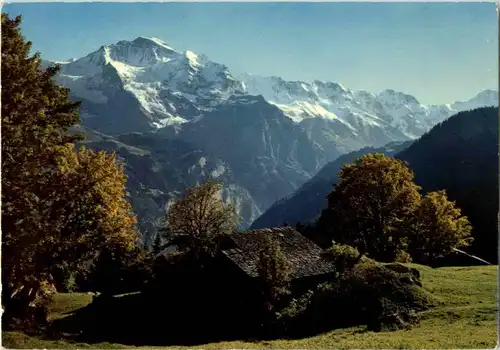 Sulwald ob Lauterbrunnen bei Isenfluh -172048