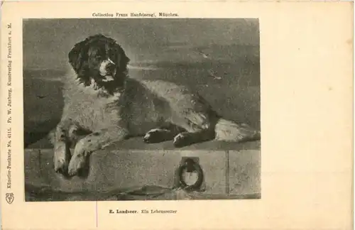 E. Landseer - Ein Lebensretter - Dog -203168