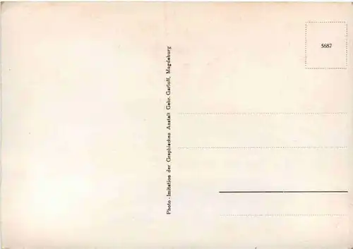 Quick - Akkordeon -202792