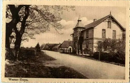 Wester Treya -88902