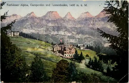 Kurhaus alpina Gamperdon und Tannenboden - Flums -200950