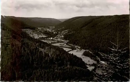 Wildbad im Schwarzwald - Enztal -173552