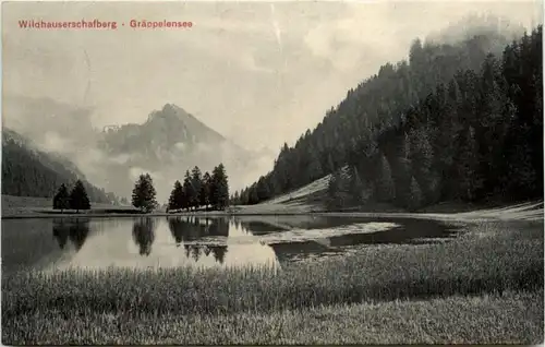 Wildhauserschafberg - Gräppelensee -201120