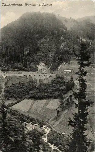 Tauernbahn - Waldmann Viaduct -89206