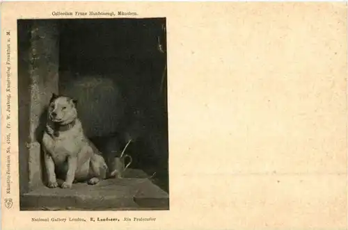 E. Landseer - Ein Proletarier - Dog -203162