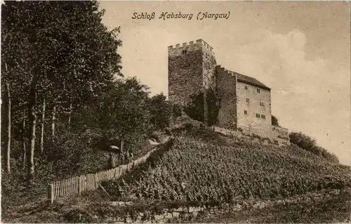 Schloss HAbsburg -174338