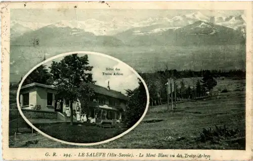 Le Saleve - Hotel des Treize Arbes -89946