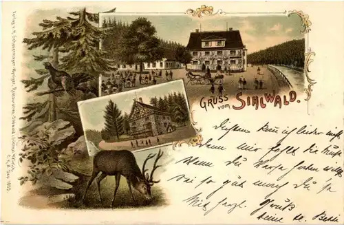 Gruss vom Sihlwald - Litho -N2630