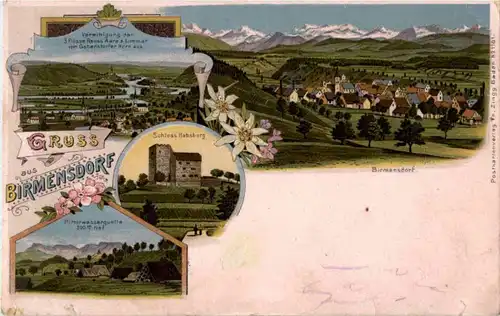 Gruss aus Birmensdorf - Litho -N2760