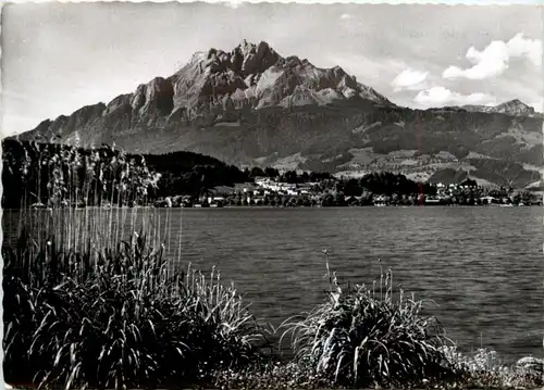 Tribschen mit Pilatus -204266