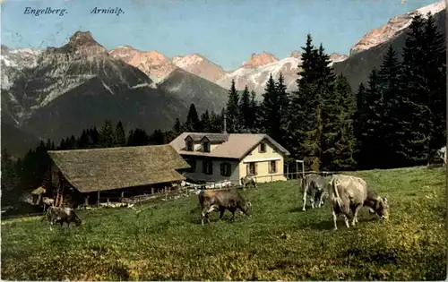 Engelberg - Arnialp -N4872