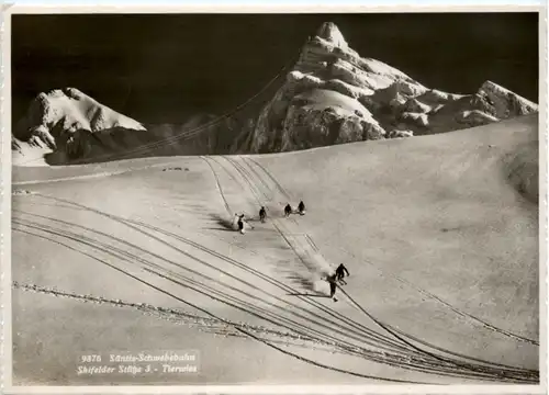 Schwägalp - Skifelder Stütze 3 Tierwies - Ski -207284