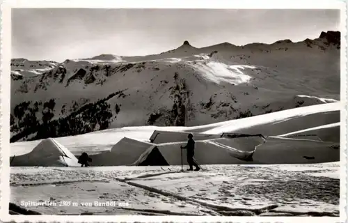 Spitzmeilen von Banüöl - Ski -207262