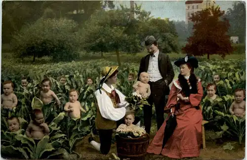 Babies im Salat -206802