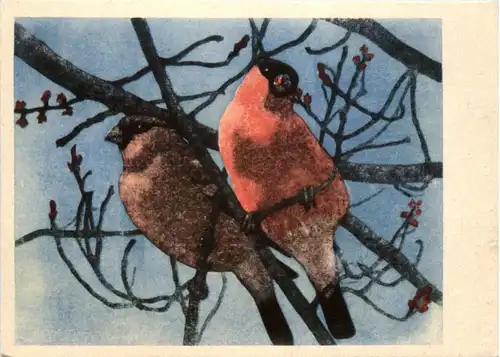 Bird - Pro Infirmis -206970